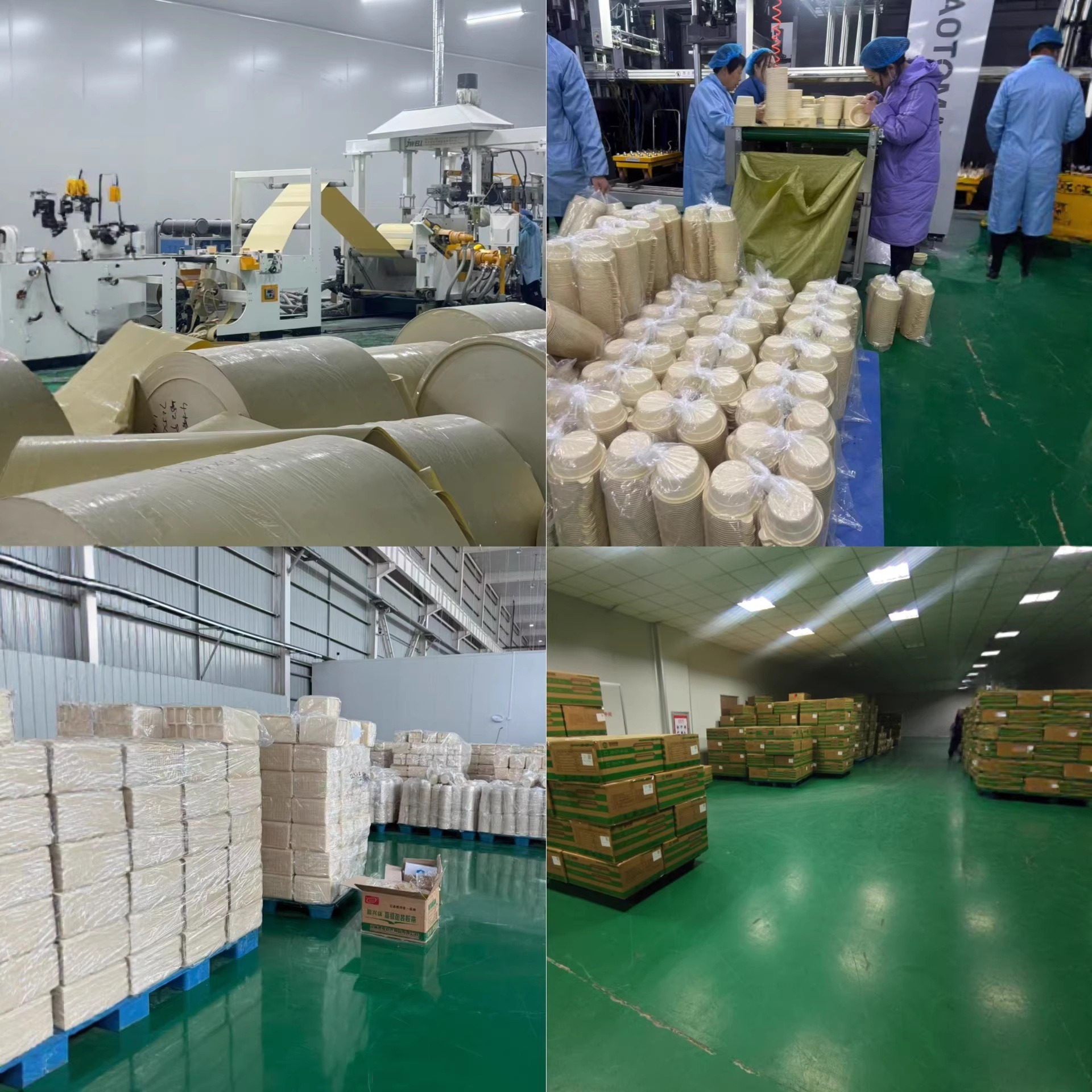 Production partner facility and packaged biodegradable tableware stock